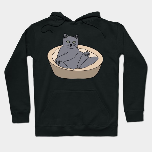 Gray Cat Hoodie by Kelly Louise Art